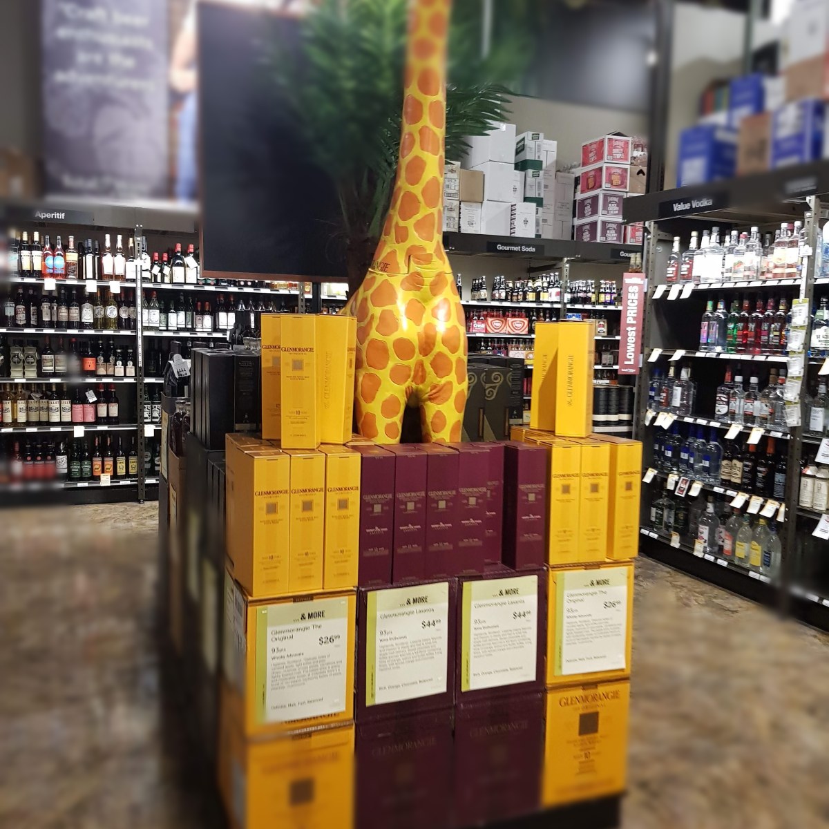 Glenmorangie at Costco