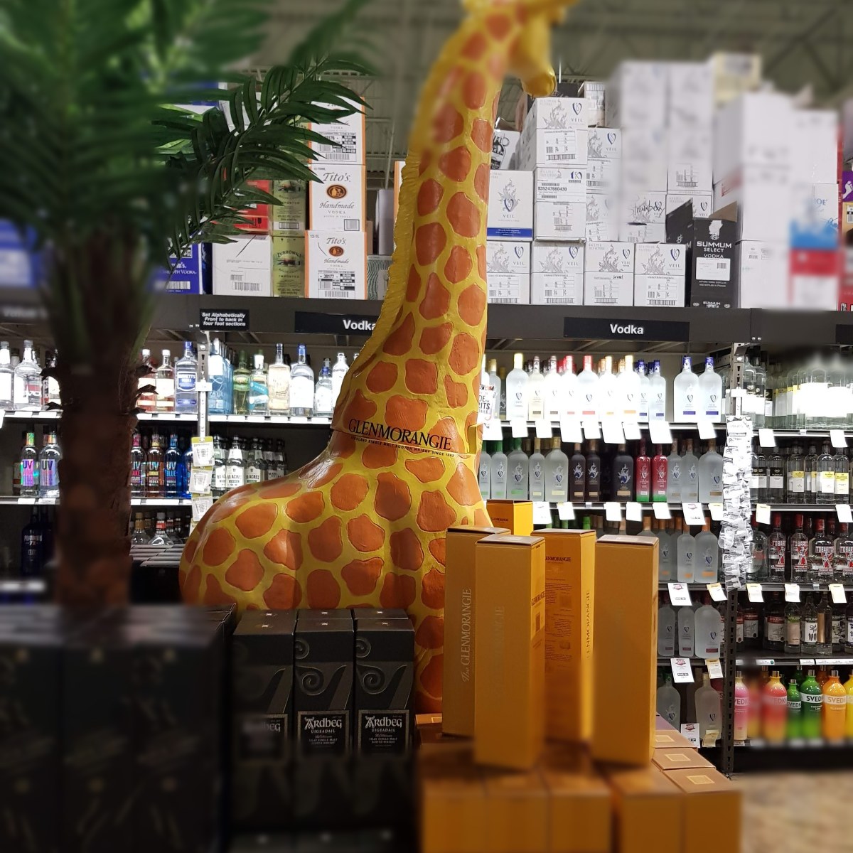 Glenmorangie at Binny's