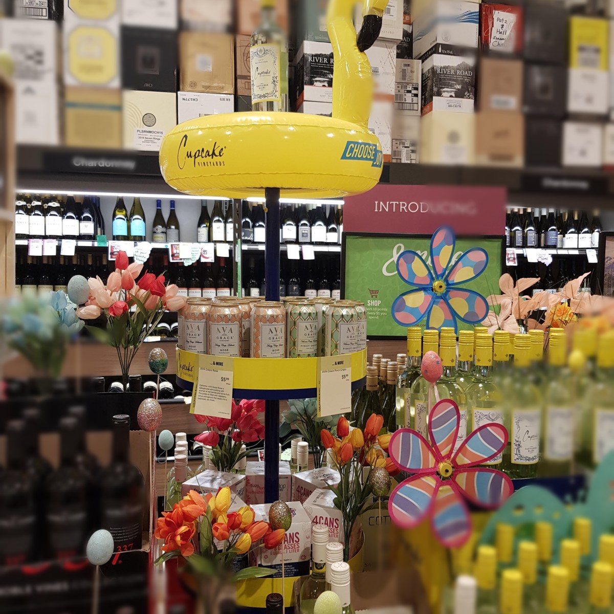 Cupcake at Costco