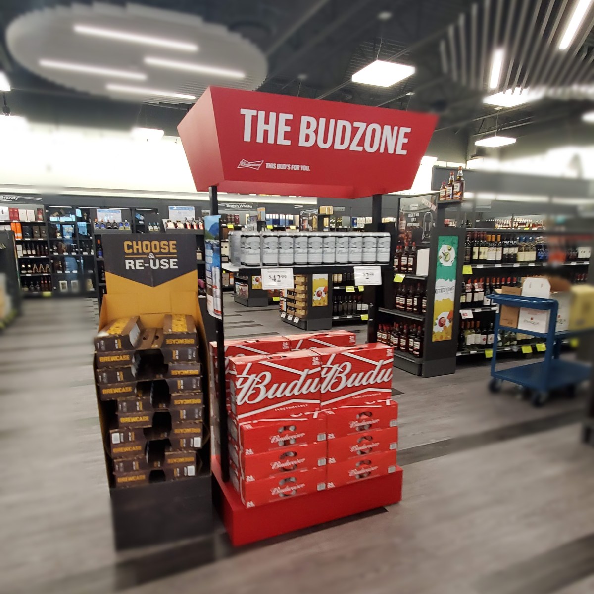 Budweiser at Total Wine