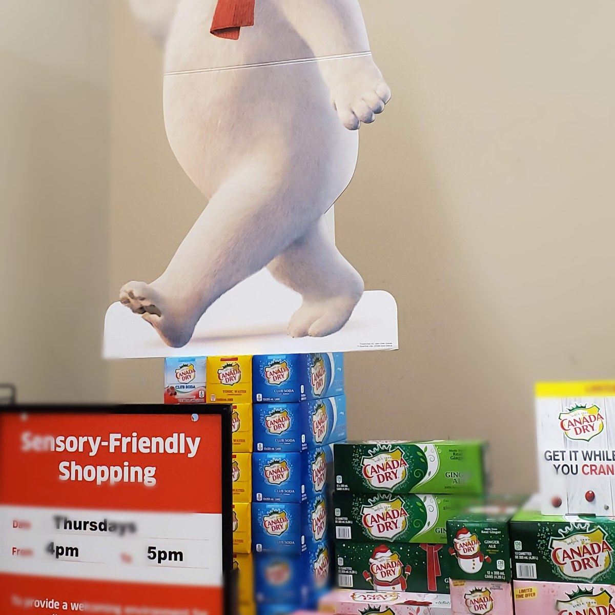 Canada Dry at BC Liquor