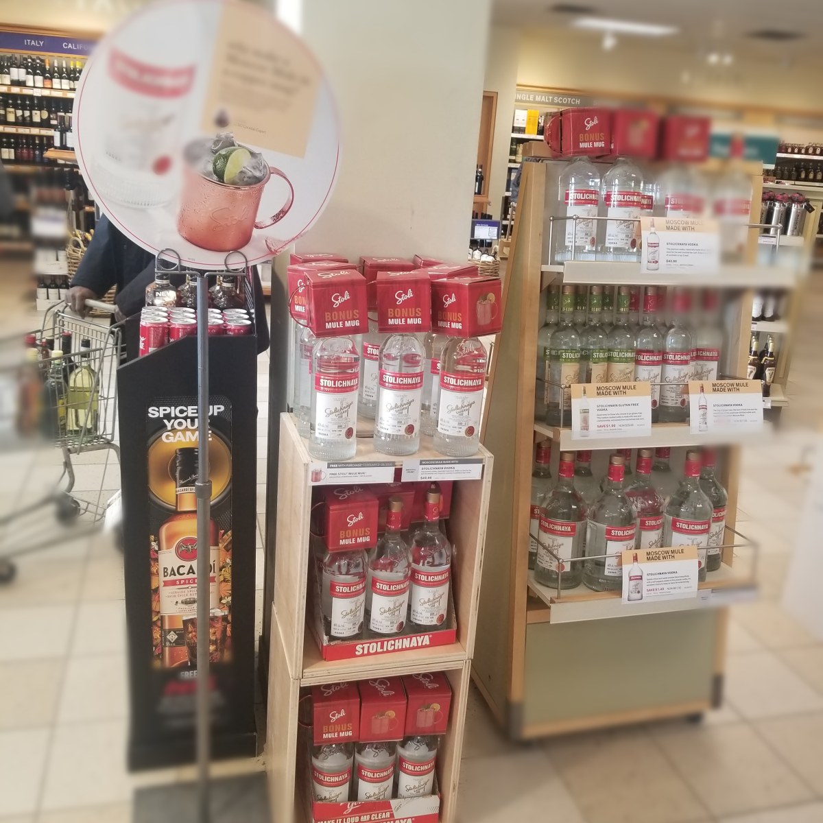 Stolichnaya at SLGA
