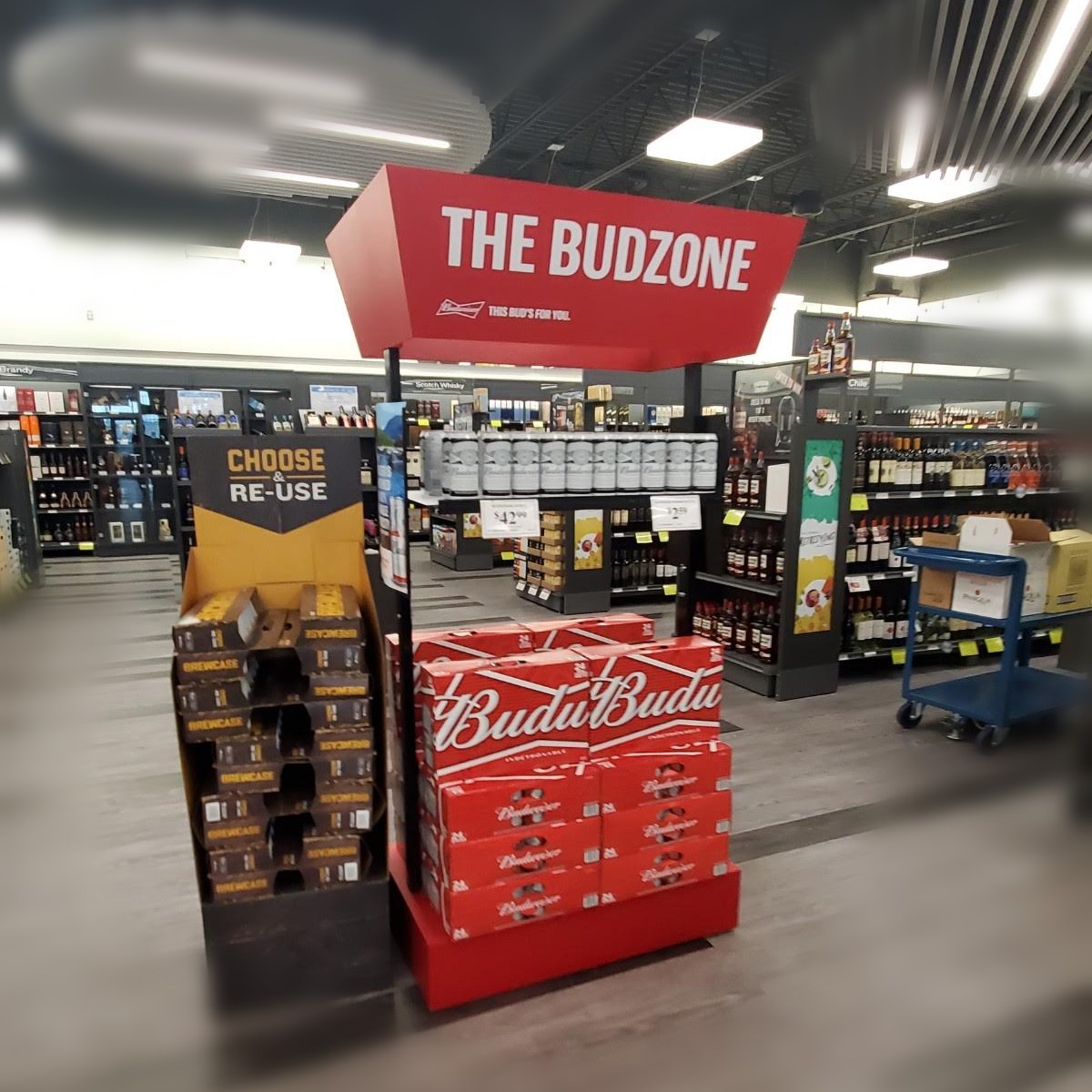 Budweiser at Walmart