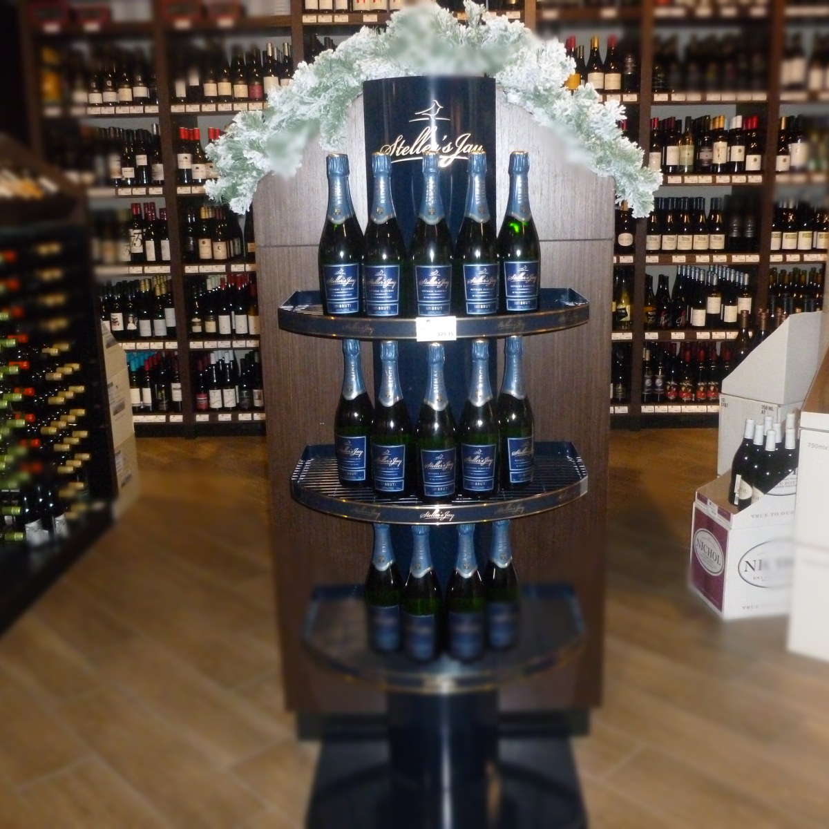 Stella's Jay at Binny's