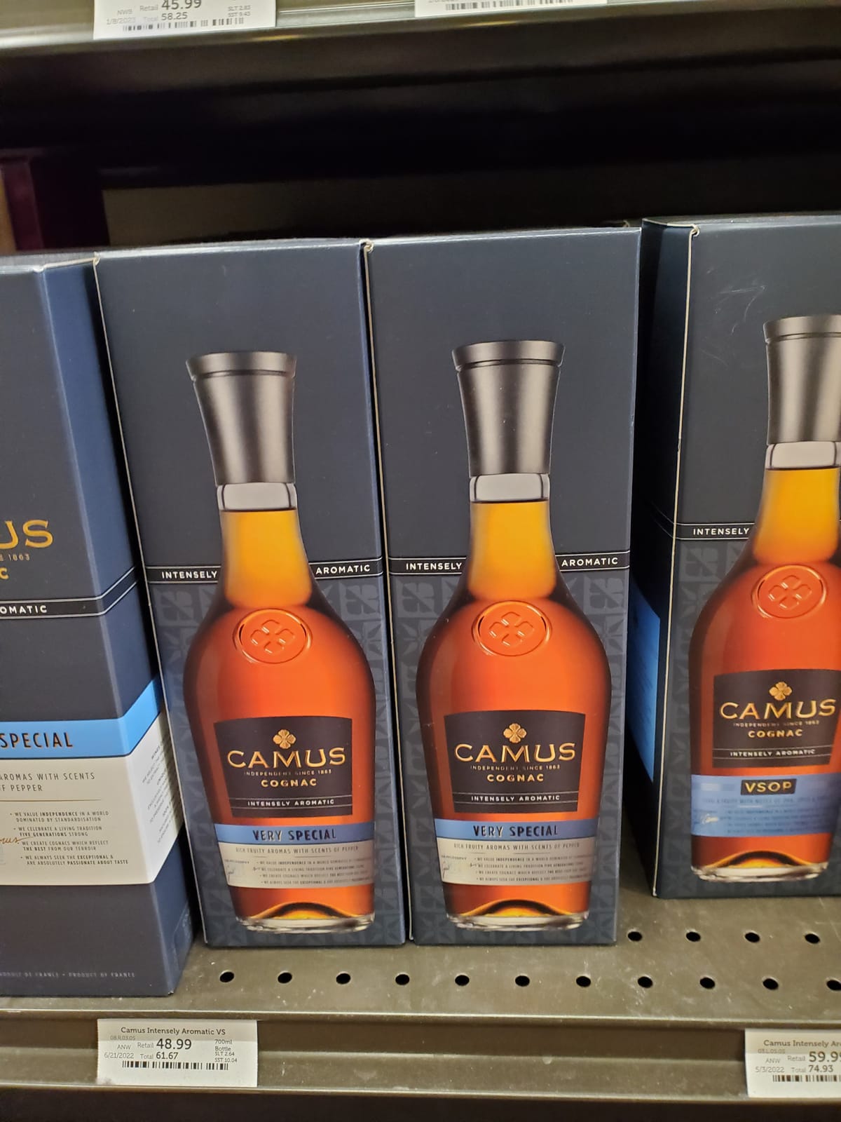 Camus at Local Wine Shop