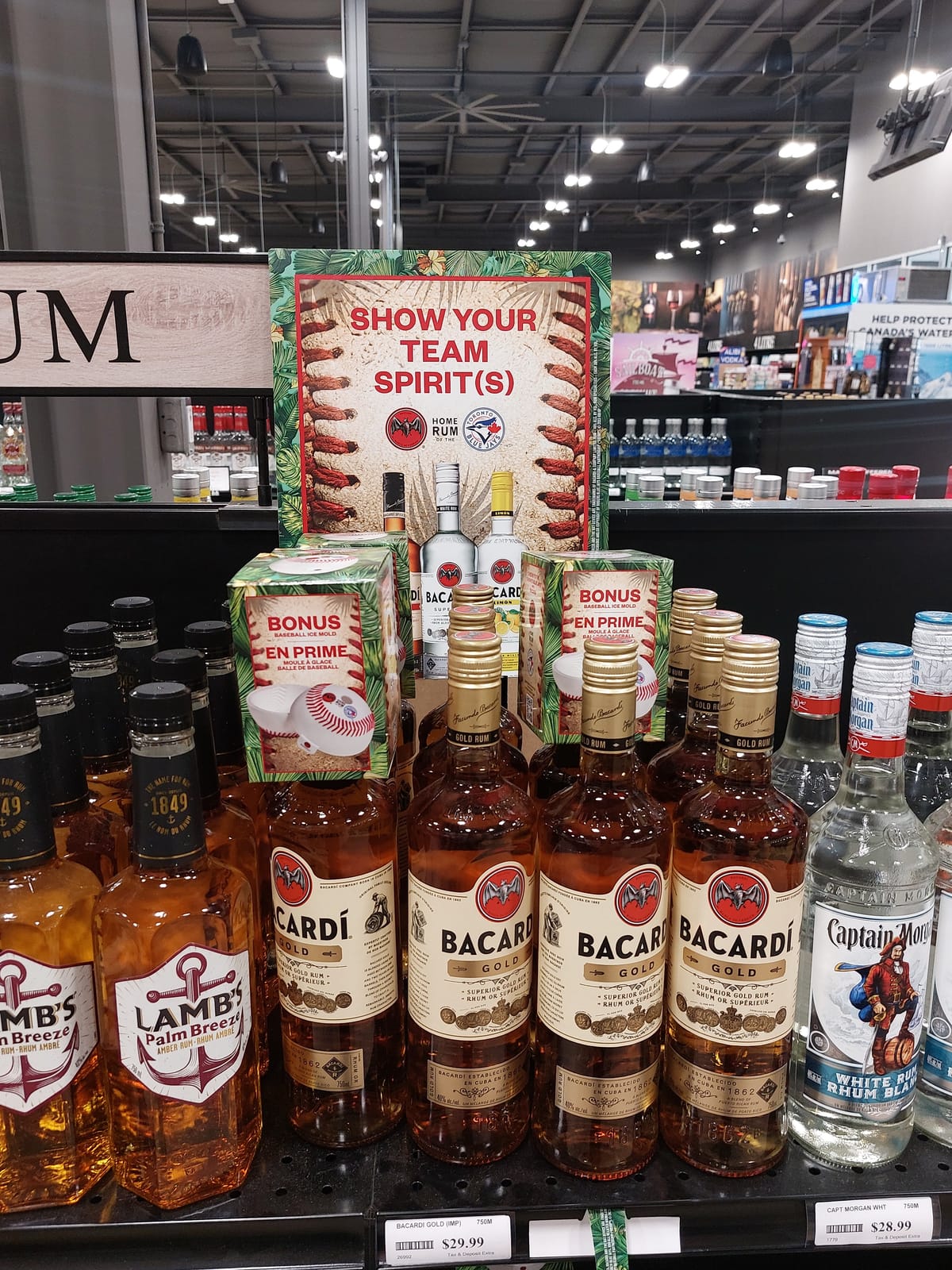 Bacardi at Total Wine