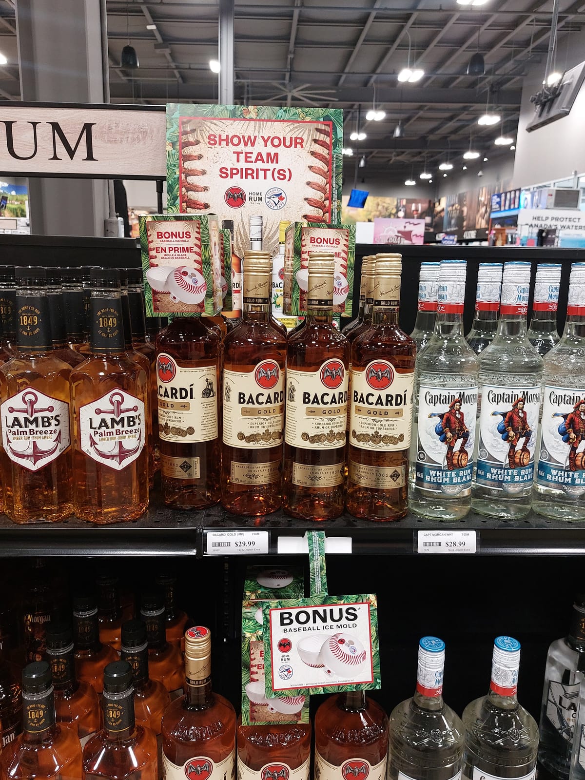 Bacardi at Total Wine