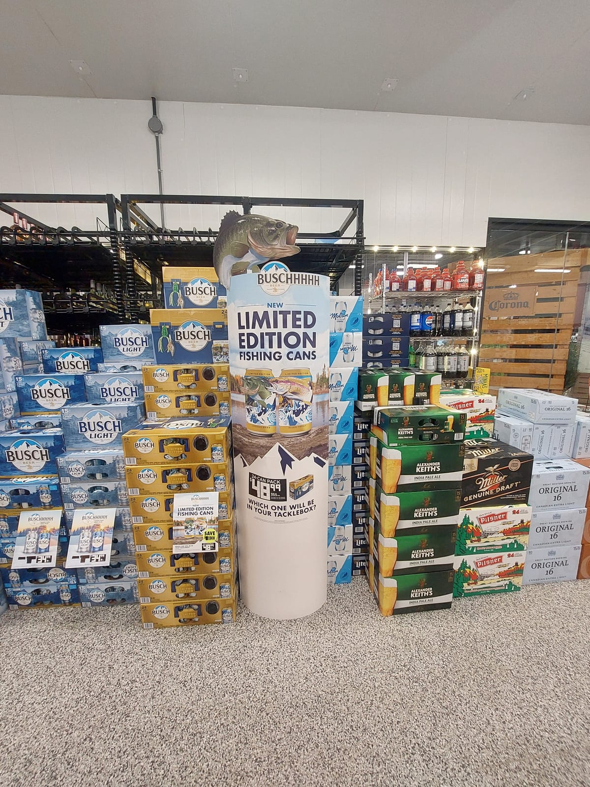 Busch at Total Wine