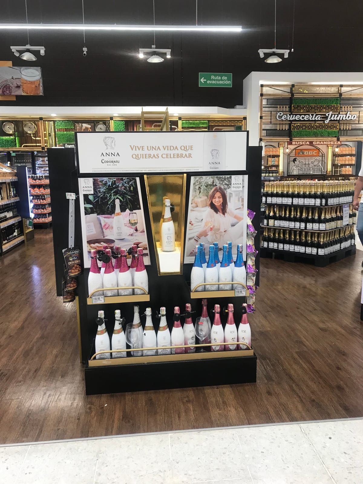 Anna de Codorniu at SLGA
