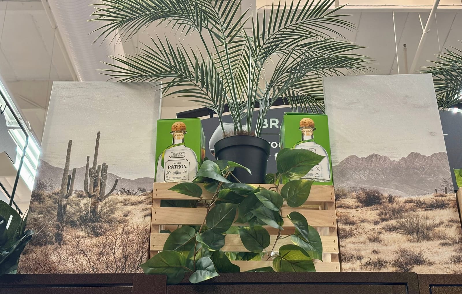 Patrón at Total Wine