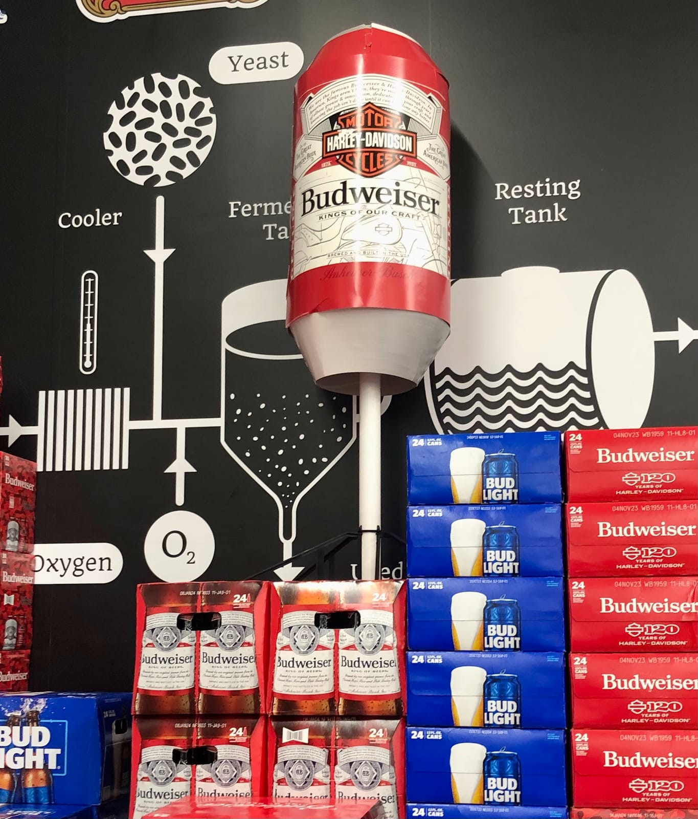 Budweiser at Costco