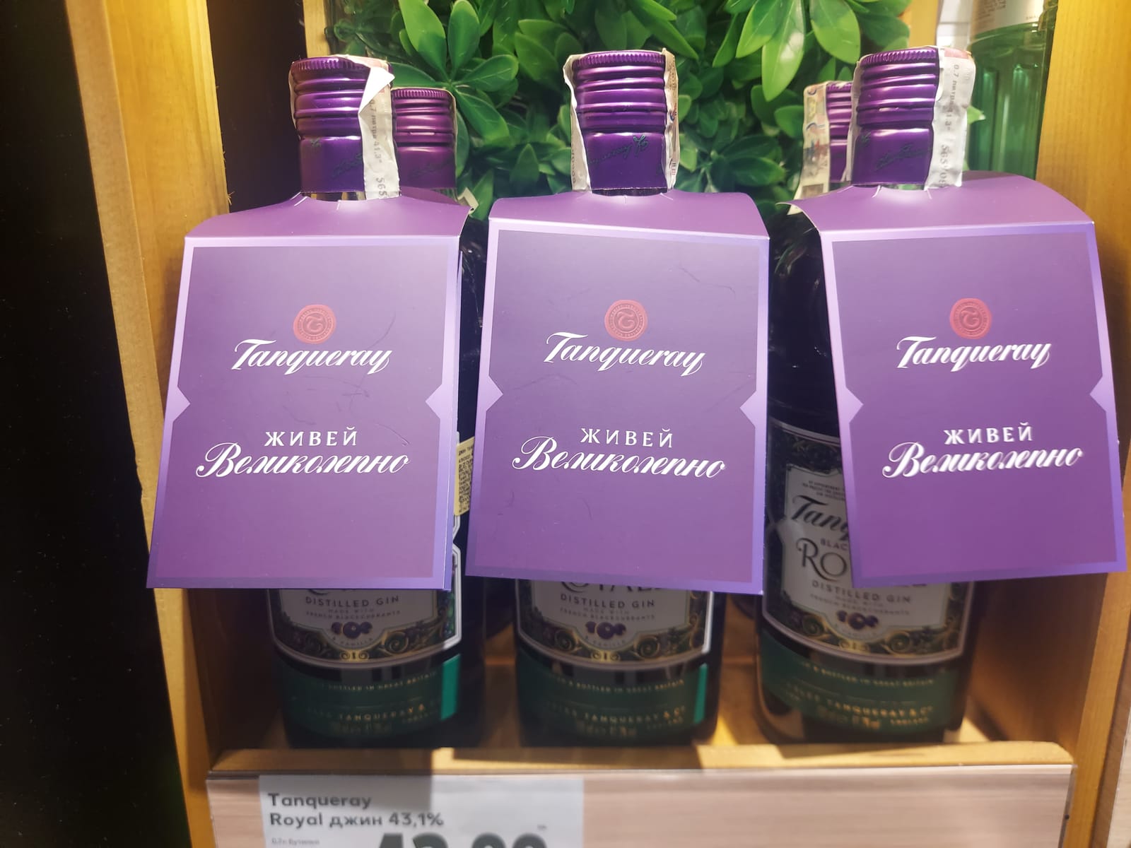 Tanqueray at Total Wine